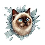 3D Kedi Köpek Araba Çıkartması, Kırık Cam Efektli Araç Stickeri, Kedi-Köpek Tasarımlı Sticker, Araba, Laptop, Dolap, Motor veya Oto Sticker 10 x10 cm (Siamese Cat)