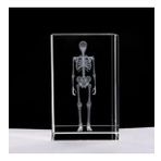 3D Kristal İnsan İskeleti Modeli
