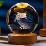 3D Led Işık Cam Küre Tek Renk Gece Lambası Axolotl Mucizevi Yenilenme 8 cm Mega Boy