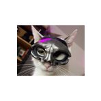 3d model s Catulus V – Ghost Band Papa V Kedi Maskesi - Özgün Tasarım 3D Baskı