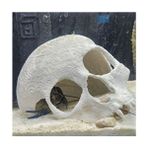 3D Print Studio Kuru Kafa Balık Süsü 16 cm Çap Akvaryum Dekorasyonu İçin Beyaz