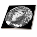 3dRose Sepet Evinde 3D Gül Vintage Komik Kedi Şampanya ve Pipo Viktorya Dönemi 1890 Cam Fayans, Çok Renkli