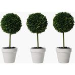 3'lü Bitki Dekor Saksı Set 28.5X10X24CM - Yeşil