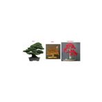 3'lü Bonsai Ağacı Ekim Seti Acer Rubrum Selvi Çınar Bonzai Ağacı Tohumu Kombin