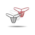 3'Lü Renkli Transparan Tül String Tanga Tm0369