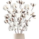 3lü Set Doğal Pamuk Çiçeği 9lu Kuru Çiçek 60 cm Yapay Çiçek - Beyaz