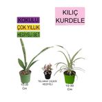 3'lü Set Tek Dikim Kılıç+Kurdele Çiçeği+Hediyelik Telgraf Çiçeği