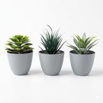3’lü Yapay Sukulent Bitki Seti – Saksılı Dekoratif Masaüstü Yapay Bitkiler, Modern Ev ve Ofis Dekoru için Mini Saksı Bitki Seti (8 cm)