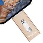 3'ü 1 arada USB Stick i Phone 64 GB, Yueflue USB Stick i Phone için i Phone, i Pad, Mac, Android, Tip C, PC, Fotoğraf ve Video Kopyalama Uygulaması olmadan İndirilebilir (Altın)