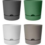 4 Adet Begonya Saksı Tabaklı Drenajlı Mat Plastik Çiçek Saksısı (Karışık, 9 Litre)