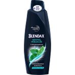 4 Adet Blendax Şampuan 500 Ml Erkek Mentol