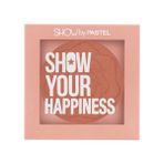 4 Adet Pastel Show Your Happiness Allık 207