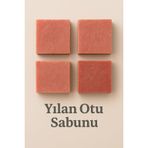 4 Adet Yılan Otu Sabunu – Saç Dökülmesine Karşı Doğal Bitkisel Bakım Sabunu 110g
