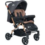 4 Baby AB360 Olympus Gold Antrasit Şase Çift Yönlü Bebek Arabası