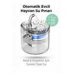 4 Berry Filtreli Otomatik Evcil Hayvan Su Pınarı 2L – Sessiz Pompa Kedi & Köpek Su Sebili
