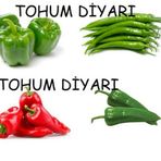 4 Çeşit Biber Seti 500+ Tohum