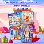 4 Set 151 Parça Tox İskelet , İç Organlar Sistemi , Takvim ve Rakamları Öğreniyorum Keçe Cırtlı Duvar Panoları , Eğitici Oyuncak