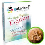 4. Sınıf Sosyal Bilgiler Online Görüntülü Eğitim Seti - Kollektif