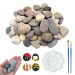 40 adet düz taş boyamak için, 2 boyama fırçası, 1 pigment paleti, boyalı çakıl taşları, düz dekoratif taşlar, boyamak için düz çakıl taşları, 1 – 3 cm, boyama taşları, taş boyama seti