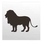 40 cm Aslan Folyo Sticker
