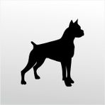 40 cm Pitbull Folyo Sticker