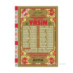 41 YASIN (CAMI BOY-2 RENK-TÜRKÇE OKUNUŞLARI VE AÇIKLAMALARI) - ELMALILI MUHAMMED HAMDI YAZIR