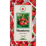 42 Adet Monterey Çilek Fidesi Açık Kök ve Taze Söküm (Frigo)