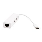 4693 Usb 3.1 Type C Hub Ethernet Çevirici Çoklayıcı Dönüştürücü Adaptör