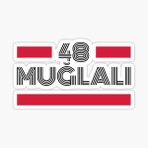 48 Muğlalı Plaka Araba Sticker Yapıştırması