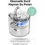 4Berry Sessiz Otomatik Kedi Köpek Su Çeşmesi – 2l Filtreli Şeffaf Tasarım