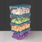 4'lü Derin Mikrodalga Uyumlu Organizer Set Düzenleyici Gıda Erzak Saklama Kabı 2500ML Mavi