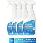 4'lü Leke Çıkarıcı - 750 ml
