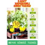 5 Adet Çift Taraflı Saksı Sinek Kovucu Meyve Sineği Fungus Sineği Yapışkan Tuzağı