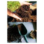 5 Litre Bonsai Toprağı %100 Organik Ve Katkısız Torf 17 Bitkinin Çözülmesinden Oluşmuş
