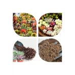 5 Litre Süper Organik Kaktüs Toprağı (17 Çeşit Ağaç Yaprağı Ve 3 Çeşit Hayvan Gübresi Karışımı)
