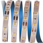5 METRE CATA CT 4481 İç Mekan 12V 10 Çipli Şerit Led 3200K Günışığı