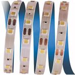 5 Metre Cata Ct 4483 İç Mekan 12V 10 Çipli Şerit Led Yeşil Işık Vitrin