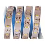 5 Metre Cata Ct 4537 İç Mekan 12V 12 Çip Şerit Led 3200K Günışığı Vitrin