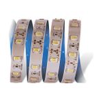 5 Metre Cata Ct 4537 Iç Mekan 12V 12 Çip Şerit LED 3200K Günışığı