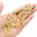 5 x 4 cm Fosforlu İğneli Silikon Karides Sarı Suni Balık Olta Yemi