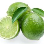 5 Yaş Aşılı Dikensiz Mexican Lime Limon Fidanı, Torbada
