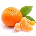 5 Yaş Aşılı Satsuma Mandalina Fidanı