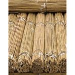 50 Adet Bambu Bitki Fidan Destek Çubuğu 190 - 200 Cm