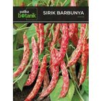 50 Adet Sırık Barbunya Tohumu (Selim)