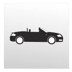 50 cm Audi Folyo Sticker
