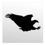 50 cm Kartal Folyo Sticker