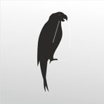 50 cm Papağan Folyo Sticker