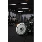 50 Kg Dambıl Crom Dambıl 1,25 Kg Ağırlık Plaka