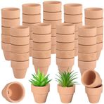 50 Mini Terracotta Saksı, Drenajlı 1,2 İnç Kaktüs Kreş Saksısı, Sulu Meyveler, Otlar ve Kendin Yap El Sanatları İçin Mükemmel