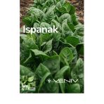 500 Adet Ispanak Tohumu - 2 Paket